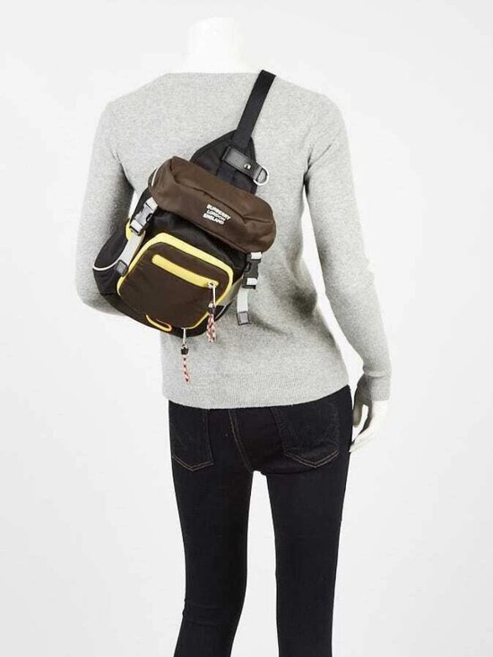 Burberry Brown/Black Nylon Leo Belt Pouch Crossbody Bag main image 11